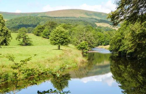 Squirrel Lodge - Foto 17