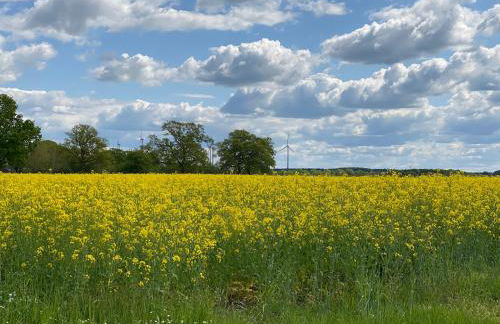Bahnhof Vaale Kehrwieder - Foto 34