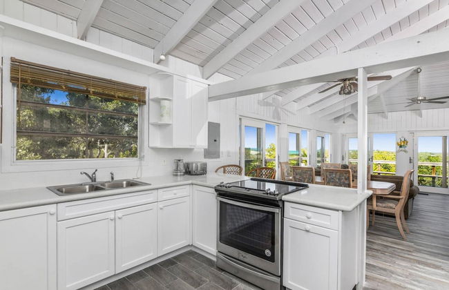 Palmetto Palms - Foto 6