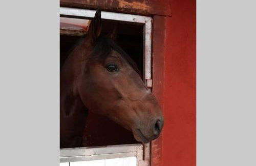 Casita de campo con vistas a una laguna - Foto 16