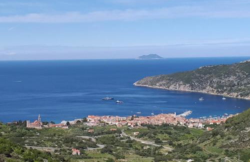 Apartman Mihaela - Photo 5