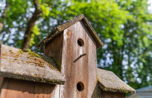 Cd'A Charmer - Foto 55