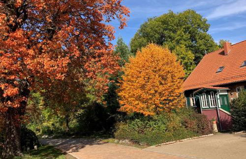 Forsthaus Neudorf - Gartenblick - Foto 10