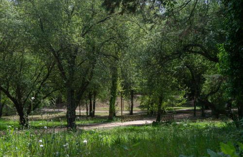 Casa do Carvalhal - natureza no centro da cidade - Foto 31