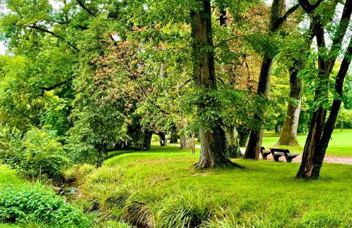-Am Pfühlpark- Ferienwohnung - Foto 44