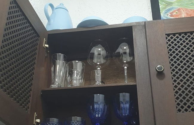 Andorinhas - Foto 20