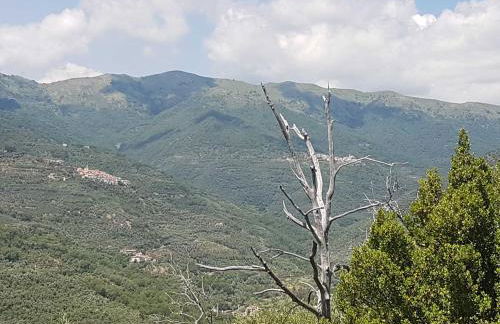 Ferienhaus in Vasia Imperia für bis zu 4 Personen - Foto 57