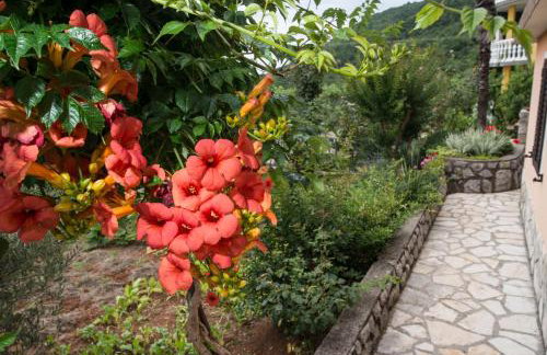 Apartment Alba - Photo 31