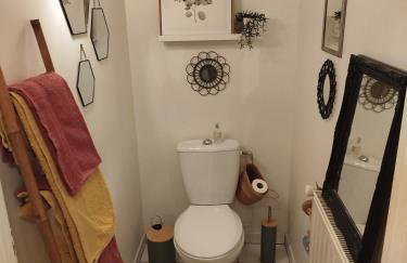 La Maison aux volets bleus 37 m3, Bords de Saône - Foto 28