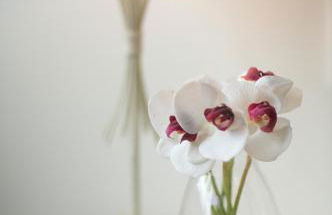 Ático con amplia terraza Nautilus I - VUT-124-AS - Foto 8