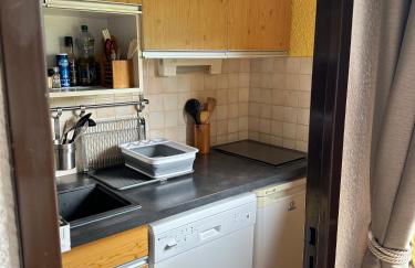 Arve et Giffre Samoens 1600 - Photo 9