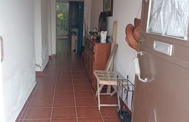 Ferreira do Alentejo Peroguarda Barbecue Ter - Foto 16