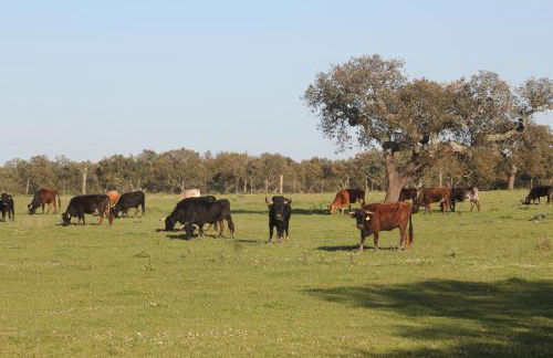 TangoSierraResidences - Foto 48