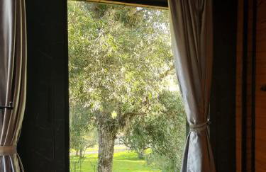 CABANA HORSES LA CONTEMPORANEA- vista ponto turístico Pedra Morro do Campestre -Asfalto até a Cabana - Photo 12