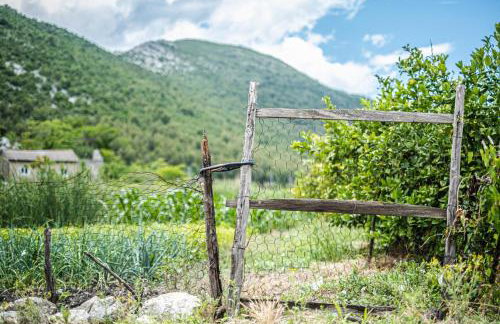 Nera Etwa House - Photo 62