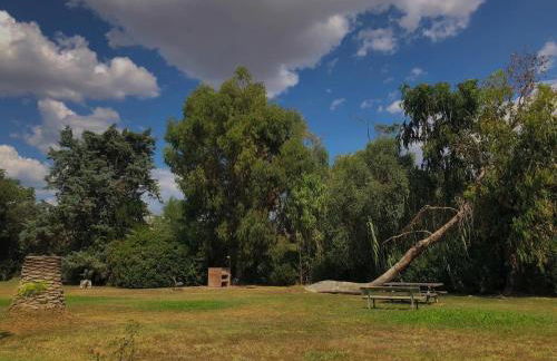 Relax a Baratti -Populonia PIOMBINO - Foto 25