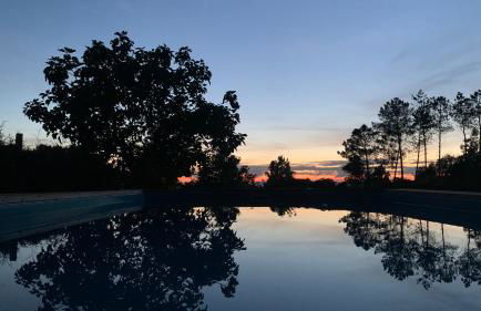 Quinta Vale Salgueiro - Foto 33