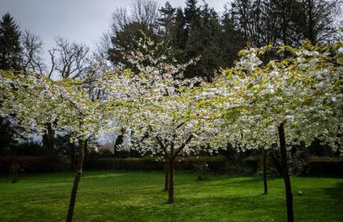 Garden Cottage - Photo 23