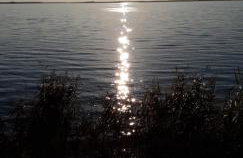 Achterwasser Blick - Foto 30