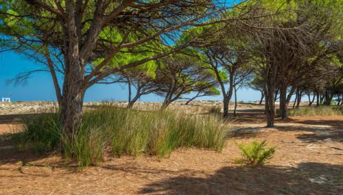 Simple Gem of Le Dimore di Budoni Num1694 - Foto 5