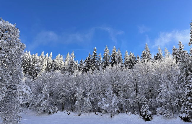 Haus Im Hochtal - Foto 48