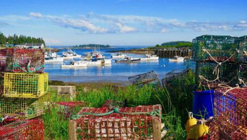 Saltwater Serenade - Foto 4