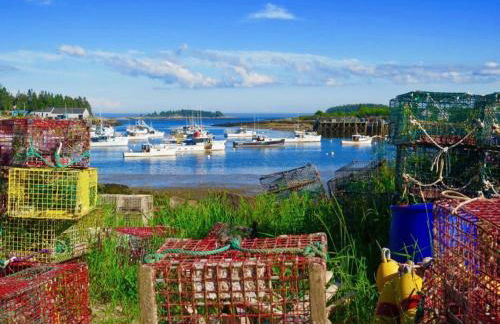 Saltwater Serenade - Foto 4