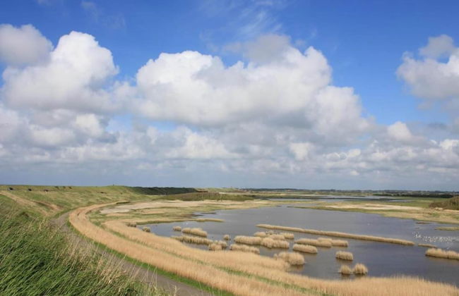 Pet-friendly Escape by the Sea - Photo 36