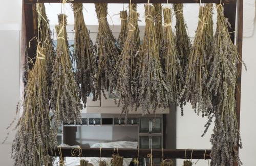 I Giardini di Pomona - Foto 19