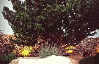 Masseria Giustiniani - Foto 11