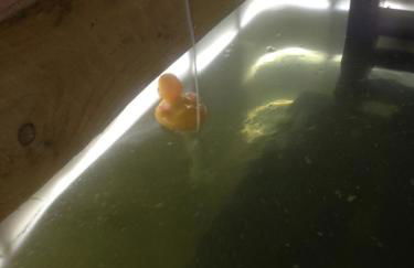 hygge hut - Photo 12