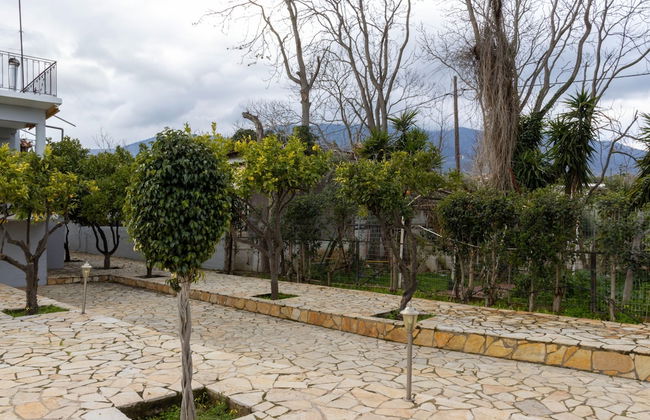 Aggelos Home in Kato Alepohori - Foto 28