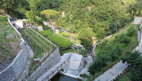 TENUTA BOSCO-Casa Vacanze - Foto 3