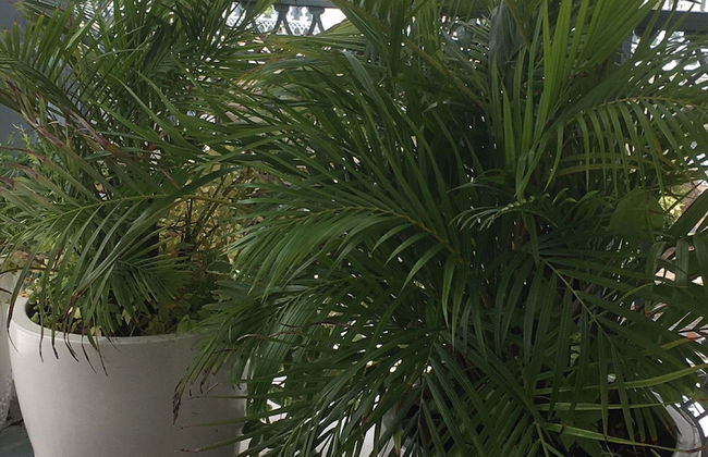 Holiday Home Vaison With Private Pool - Photo 30