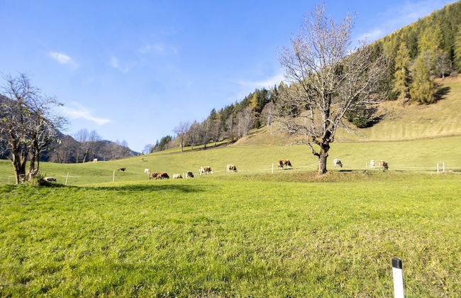 Apartment in Bad Kleinkirchheim Near Ski Lift - Photo 30