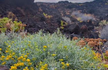 Irama Suite - Foto 15