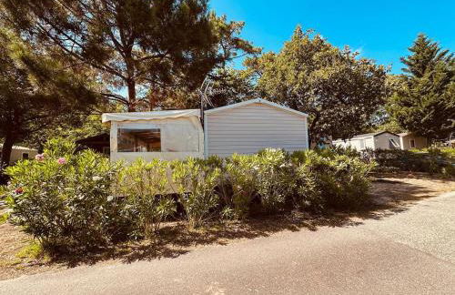 Cap Ferret Mobile Home Arcachon Bay View - Foto 9