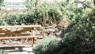 Charming Cornish Cottage, Portreath, Dogs Welcome - Foto 3, Garden view