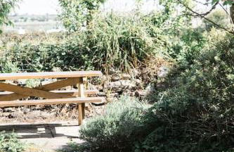 Charming Cornish Cottage, Portreath, Dogs Welcome - Foto 3