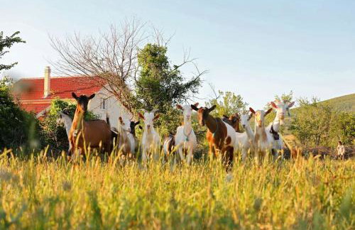 Holiday House Aurora Borealis - Foto 24