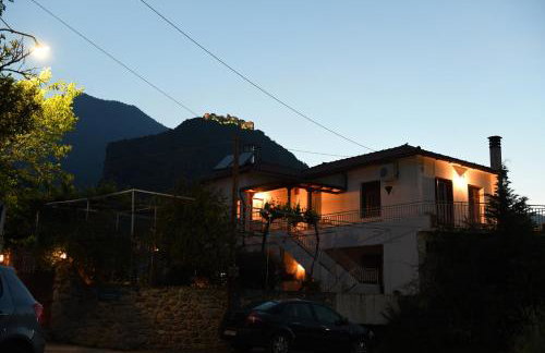 Art Flowers and Culture - Foto 15