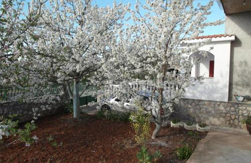 Apartment Antonio - Photo 24