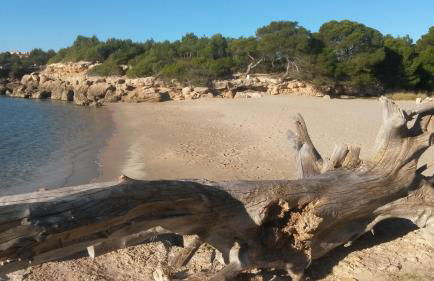 ROQUES DAURADES III - JARDIN PRIVADO - Foto 28