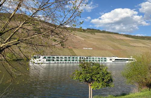 Moselblickhaus - Foto 30