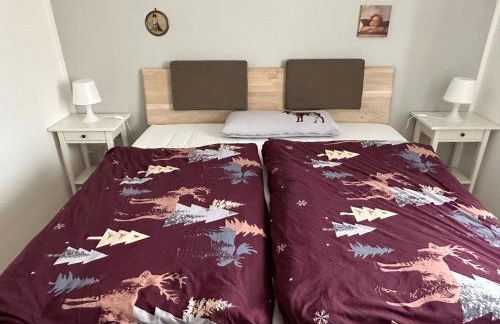 Ferienwohnung Schäfer an der Harle - Foto 16