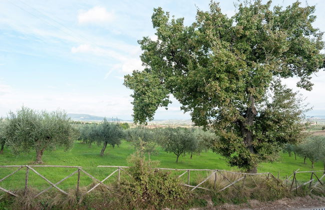 Farmhouse in Giano Dell'umbria with Hot Tub, Swimming Pool - Foto 16