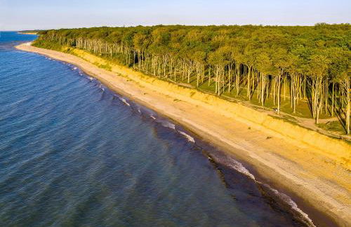 Dünenrose 4 Wolkenlos - Foto 60