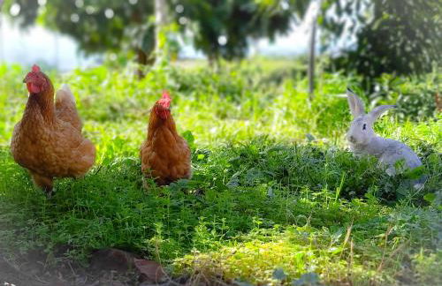 La casa de La Cartita - Foto 27