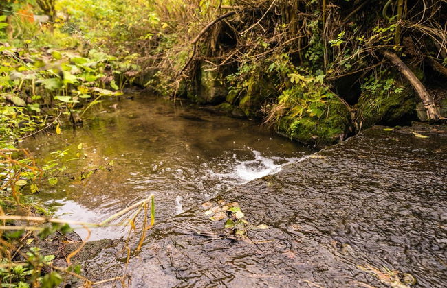 Holiday Home in Willingen Near Ski Slopes - Foto 20