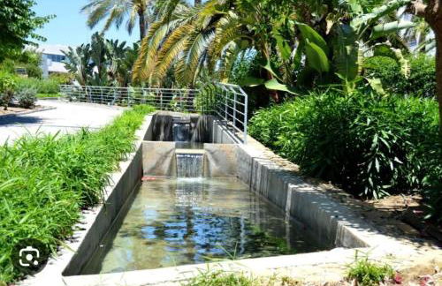 Apartamento Vitania - Photo 11